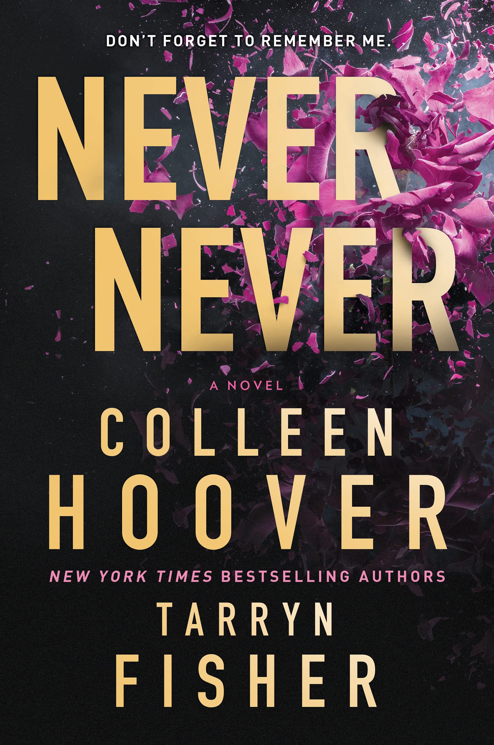 Never Never (Hardcover)